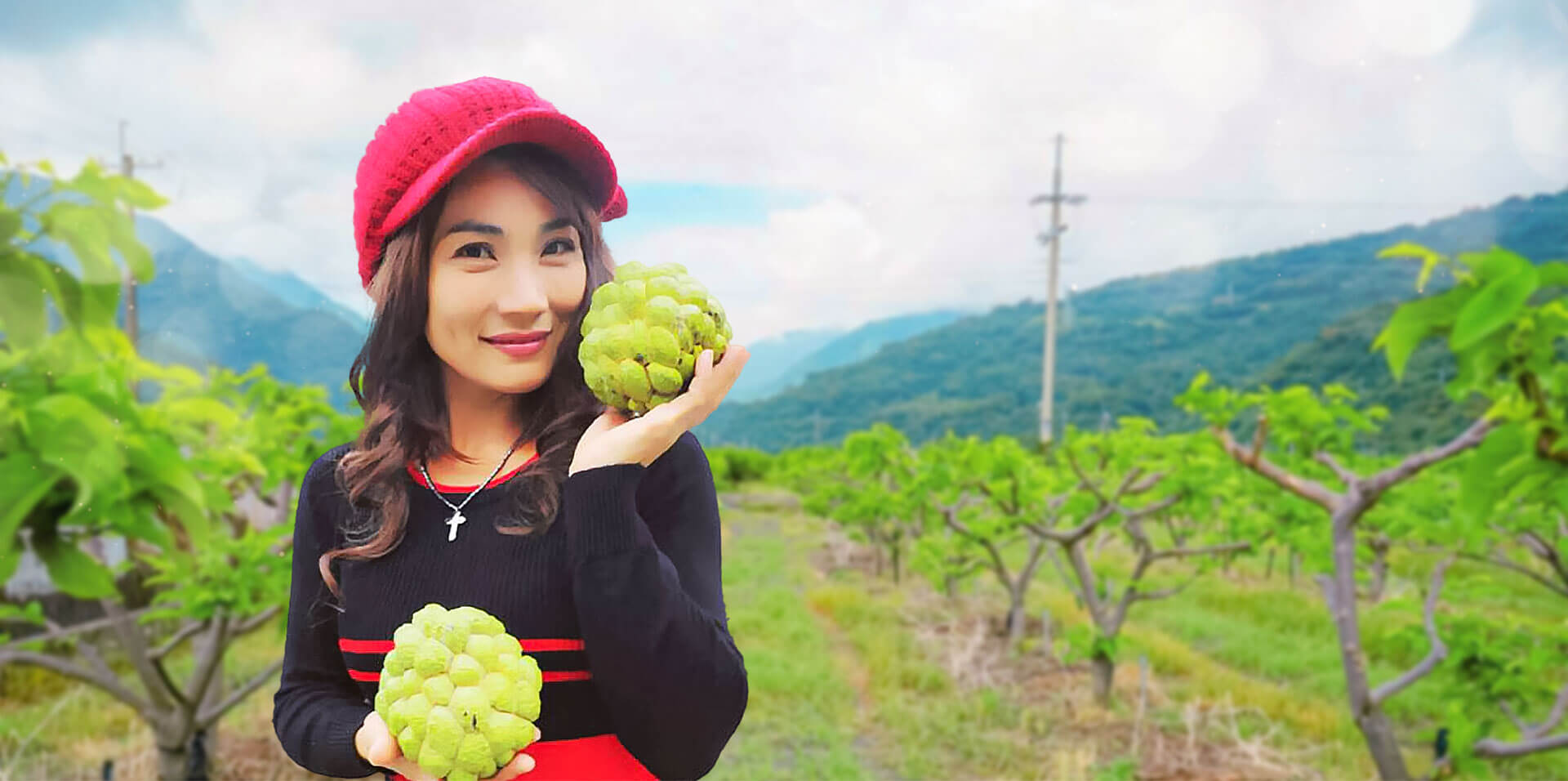 太麻里亞莛釋迦